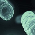 Microscopic image of a superbug