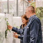 Researchers examining a netted experimental crop plant