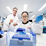 Researchers working in the laboratories of the Institute for Biomedicine and Glycomics.