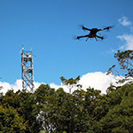 Monitoring tropical forest using flux tower sensors and a UAV