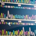 Screen image showing genetic coding information