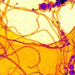 Example of a nanomaterial