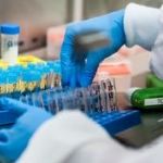 Hands of a researcher sorting test tubes