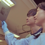 Researchers examining an image