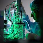 Researcher examining special laboratory equipment