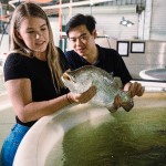 University students handling barramundi