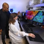 Scientists looking at highly multiplexed tissue imaging with single-cell resolution