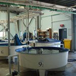 Fish tanks at the Northern Fisheries Centre