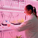 Photo of CMLR student working in the lab