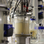 Bioreactor used for manufacture of prototype materials