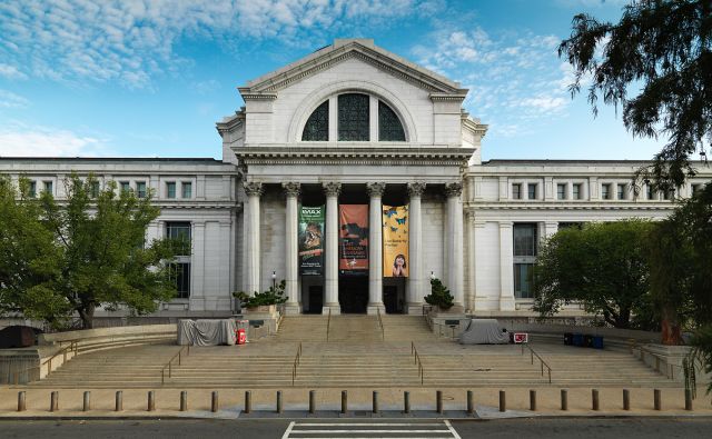Photo of the Smithsonian's National Museum of Natural History on the National Mall in Washington, D.C.