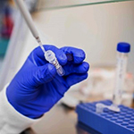 Photo of scientist’s hand wearing blue glove undertaking sample preparation with a pipette in a research laboratory